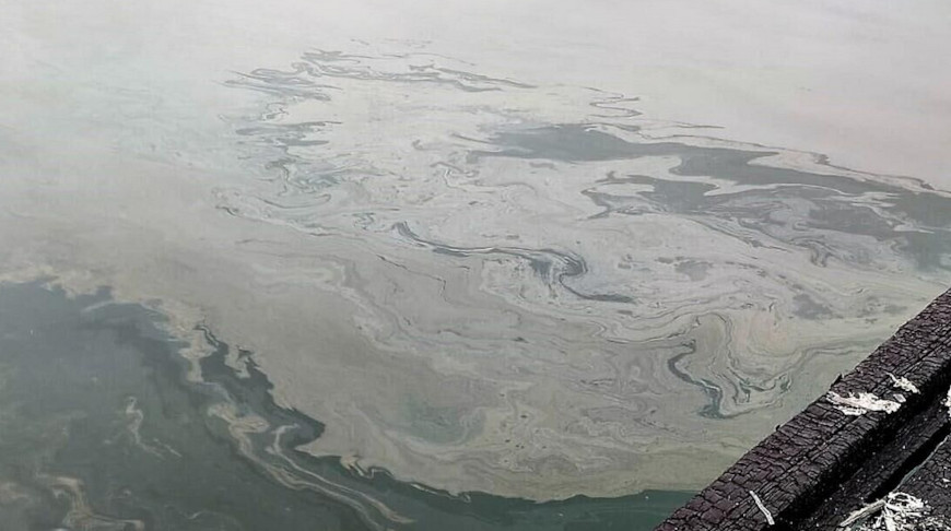 Фото Минприроды России