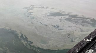 Фото Минприроды России