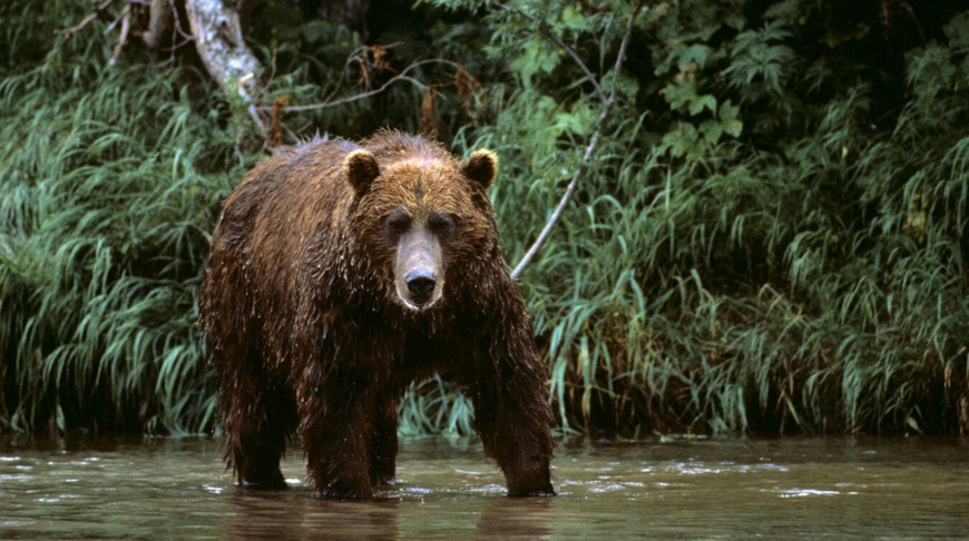 Фото  РИА Новости 