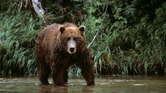 Фото РИА Новости