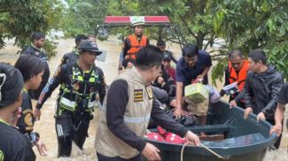 Фото соцсетей