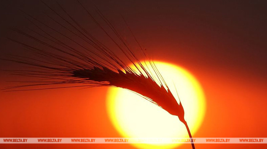 Фото из архива