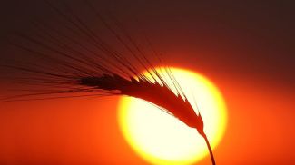 Фото из архива