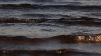 Фото из архива