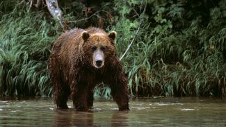 Фото  РИА Новости 