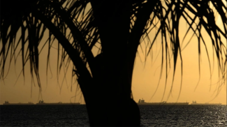 Фото из архива Global Look Press