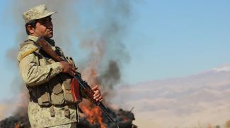 Фото GlobalLookPress