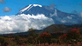 Фото Getty Images