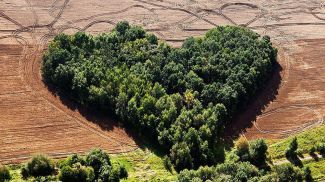Фото из архива фотохудожника
