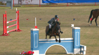 Скриншот видео пресс-службы Белорусской федерации конного спорта