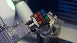 Фото Shutterstock