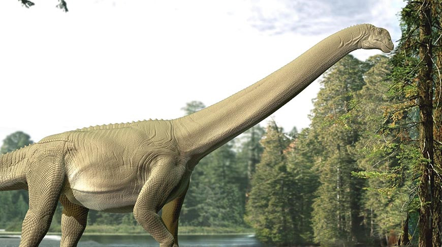 Художественная реконструкция Diamantinasaurus matildae во время еды / © Travis Tischler