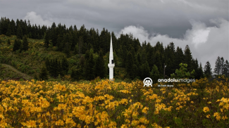 Фото Агентства Анадолу Фото Агентства Анадолу