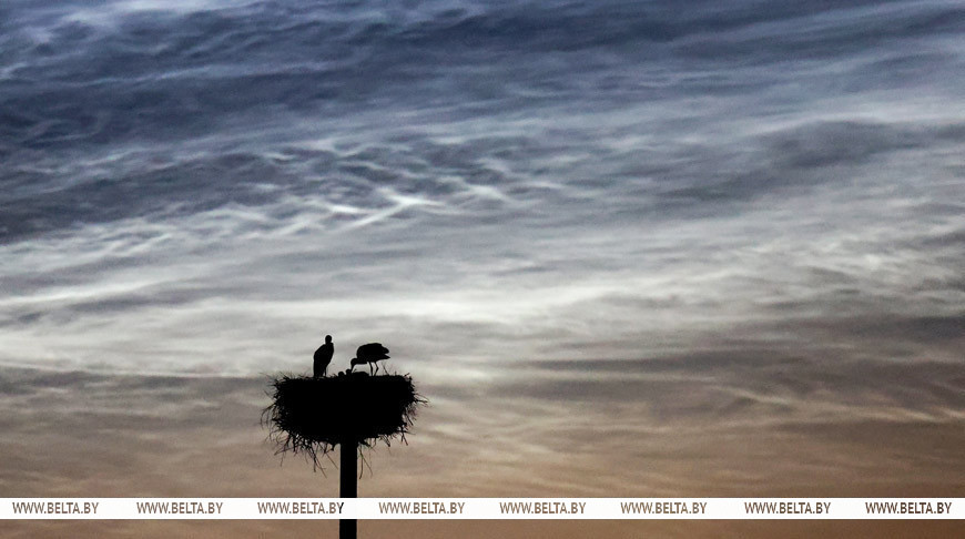 3 июля 2025 года. Серебристые облака