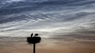 3 июля 2025 года. Серебристые облака