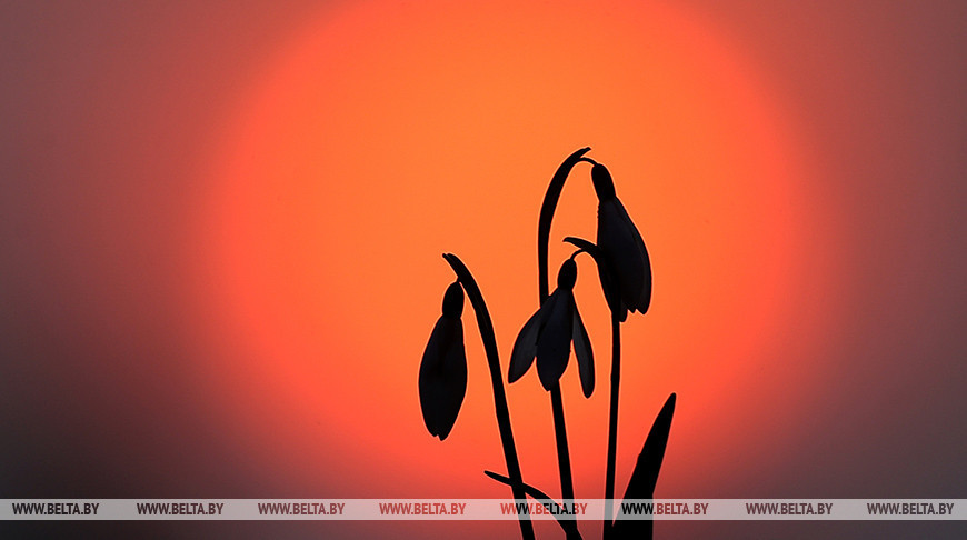 Фото из архива