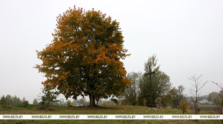 Раскопки на Менке