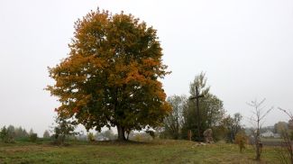 Раскопки на Менке