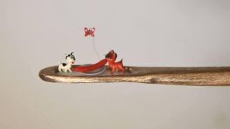 Фото из социальных сетей Владимира Анискина