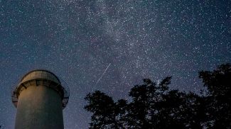 Фото из архива ТАСС