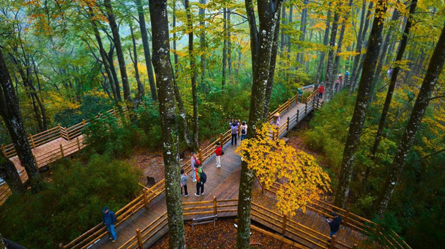 Фото Синьхуа