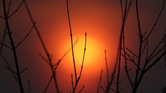 Фото из архива