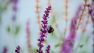 Фото из архива