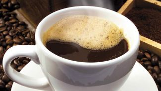 Фото Global Look Press