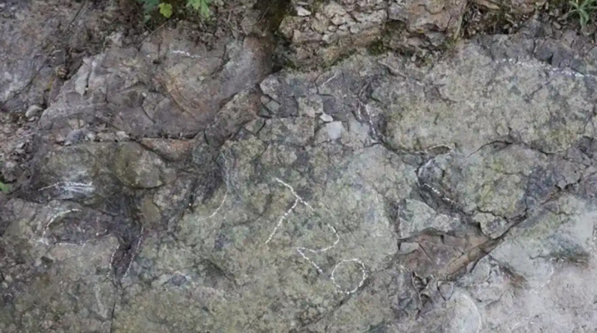 Фото из архива TV BRICS