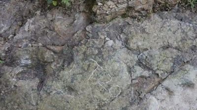 Фото газеты "Жэньминь жибао"