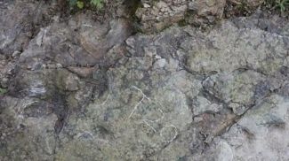 Фото из архива TV BRICS