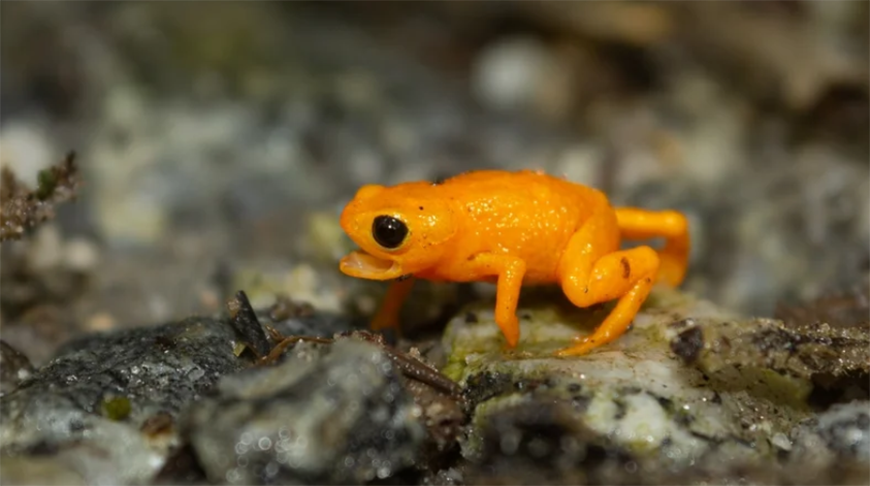 Фото Shutterstock/FOTODOM/ allancle