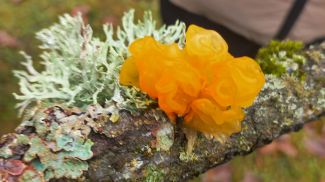 Фото национального парка "Беловежская пуща"