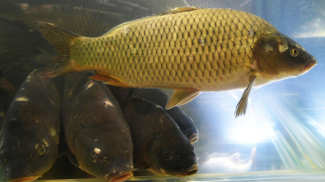 Фото РИА Новости