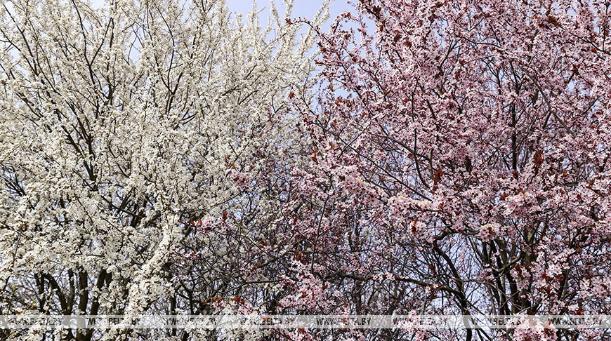 Фото из архива
