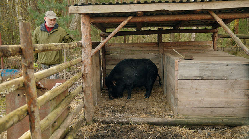 Ер адамның пискасын жалап жатқан видеосы