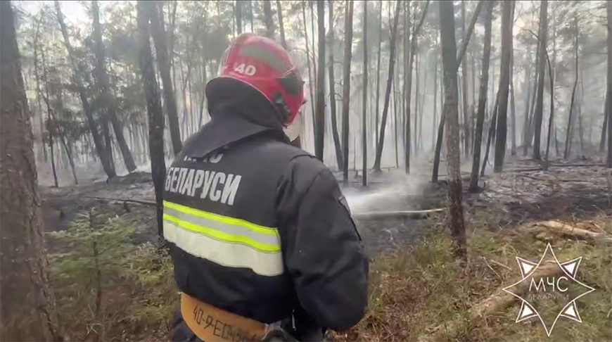 Скриншот видео