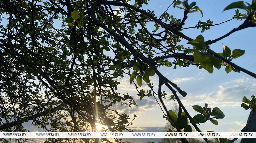 Фото из архива
