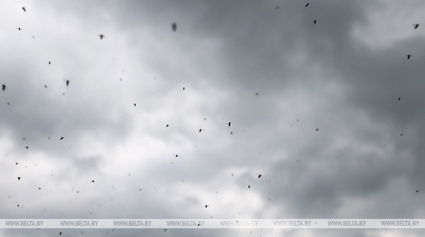 Фото из архива
