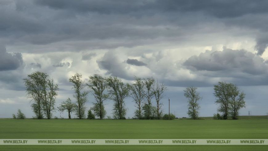 Фото из архива