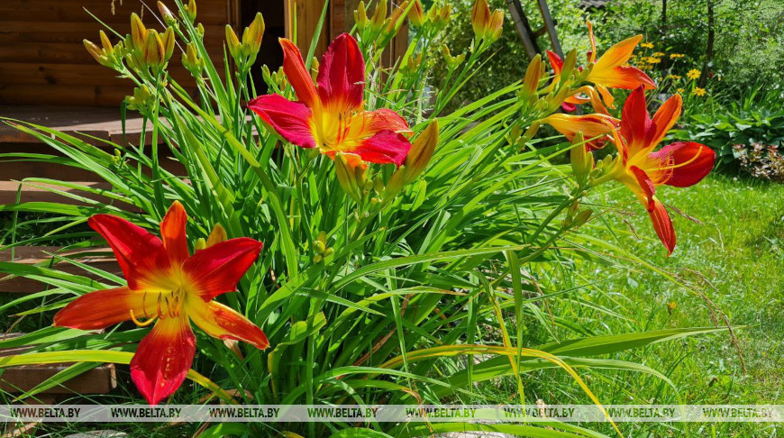 Фото из архива