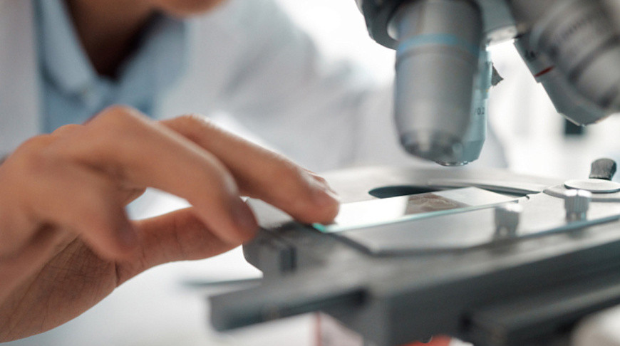 Фото Shutterstock