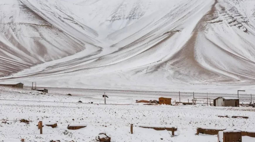 Фото соцести Х