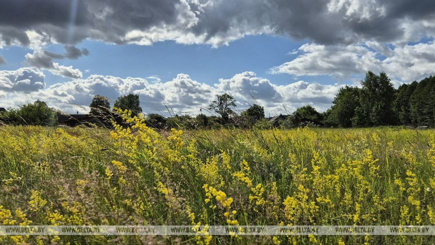 Фото из архива