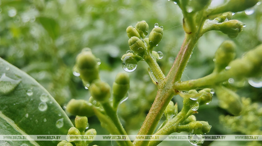 Фото из архива