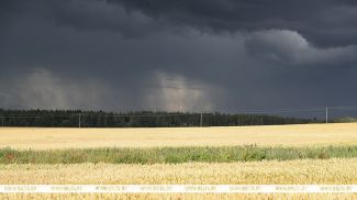 Фото из архива