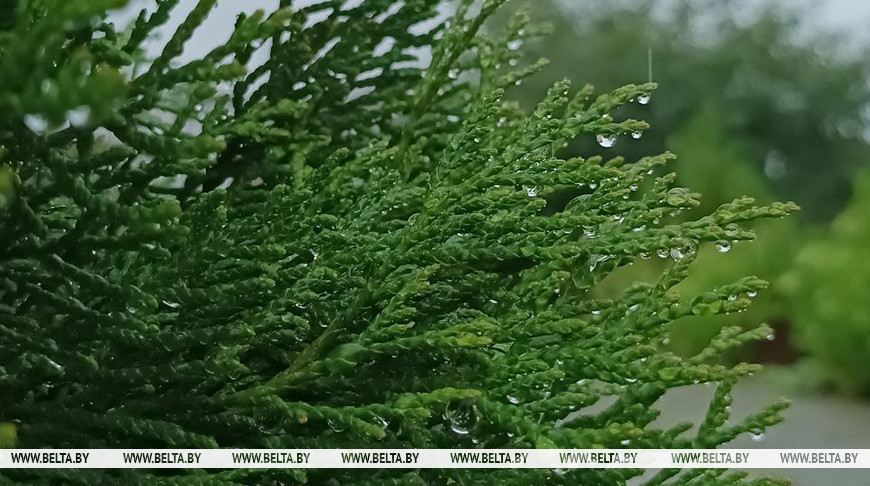 Фото из архива