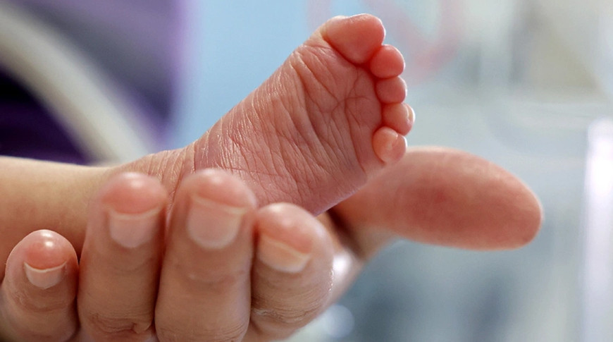 Фото Global Look Press