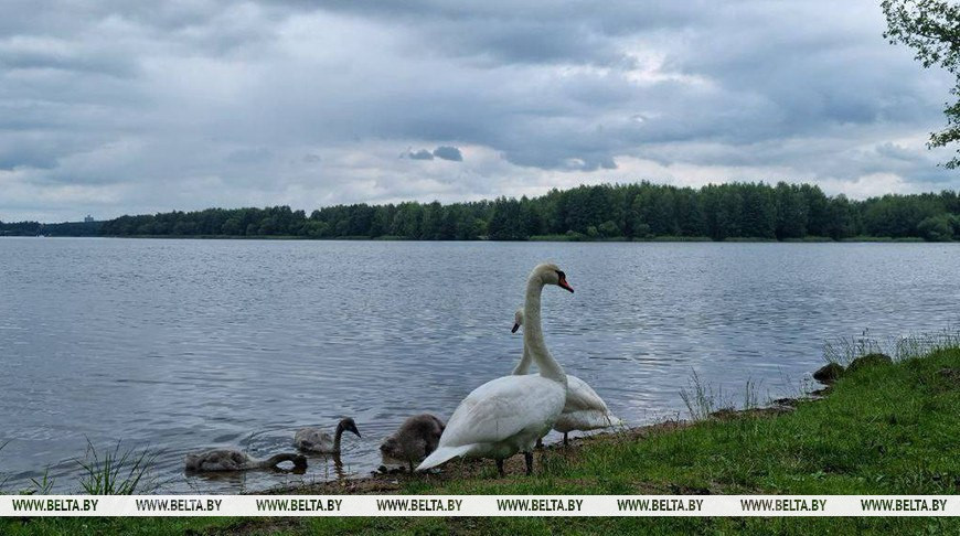 Фото из архива