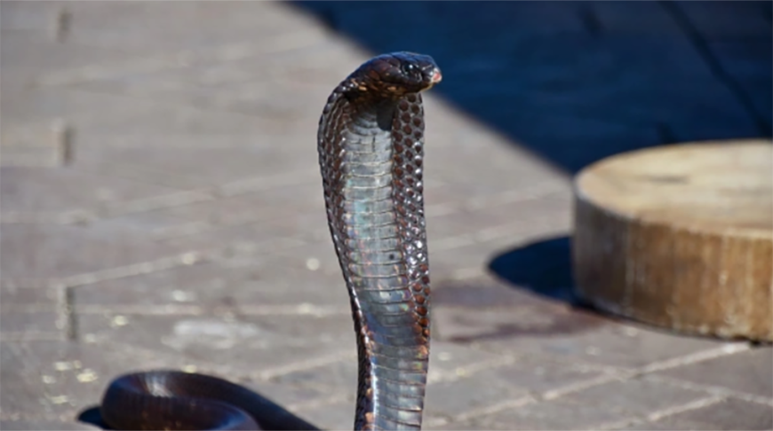 Фото Shutterstock